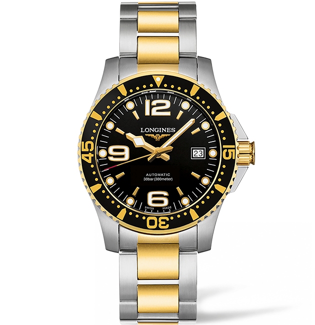 HYDROCONQUEST AUTOMATIC 41MM STEEL & PVD BLACK STEEL & PVD